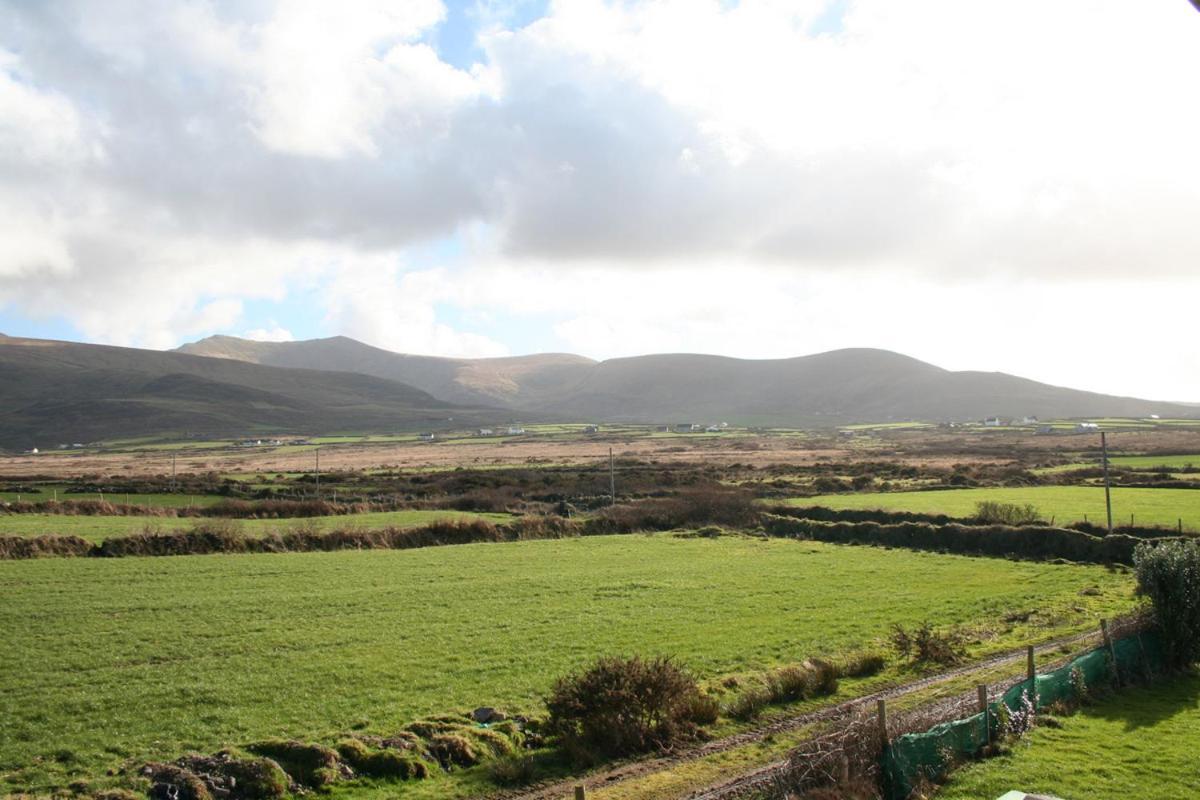 Coill An Rois B&B Ballydavid ภายนอก รูปภาพ