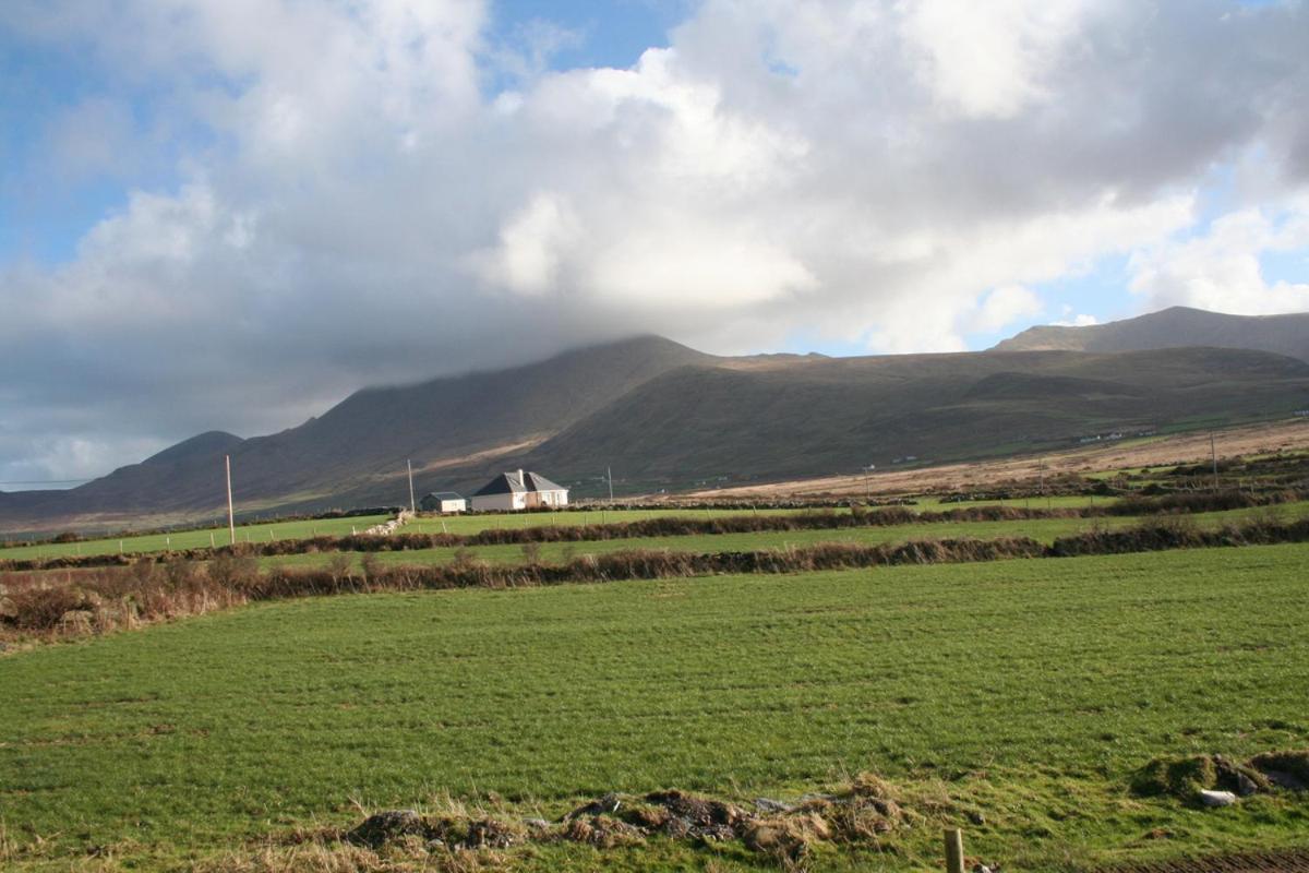 Coill An Rois B&B Ballydavid ภายนอก รูปภาพ