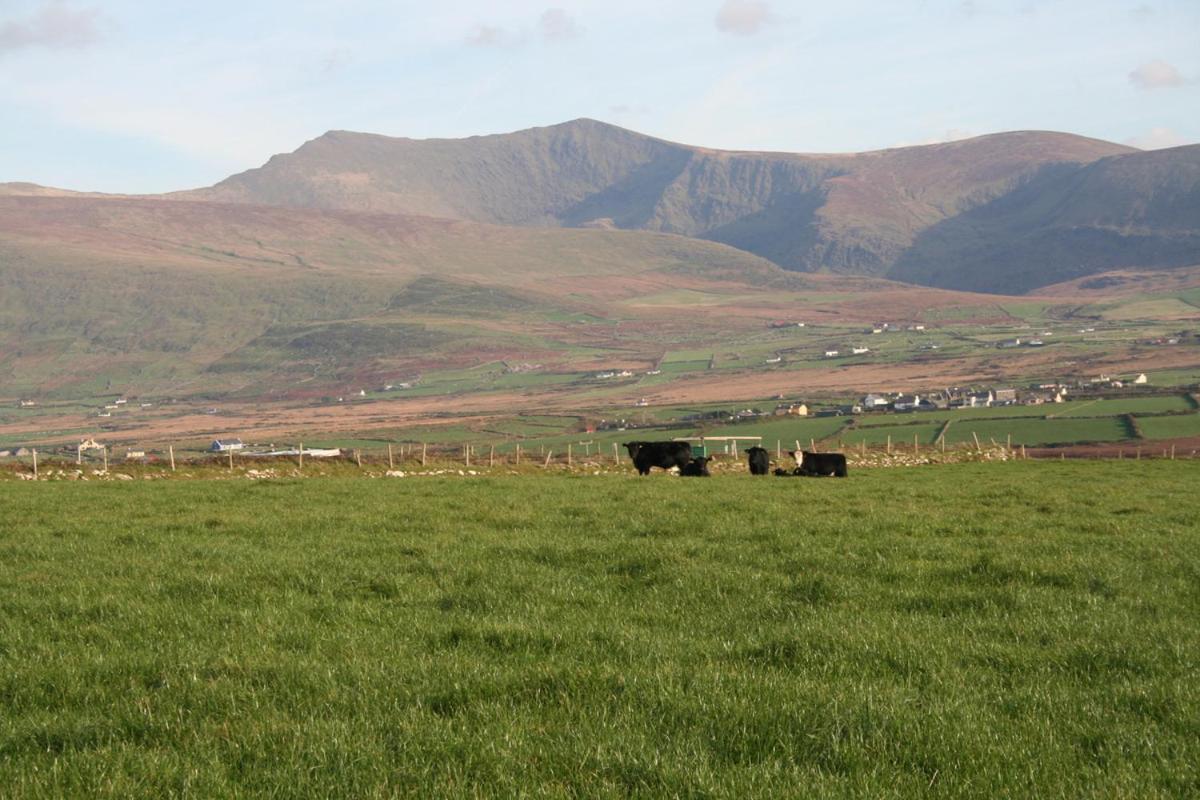 Coill An Rois B&B Ballydavid ภายนอก รูปภาพ
